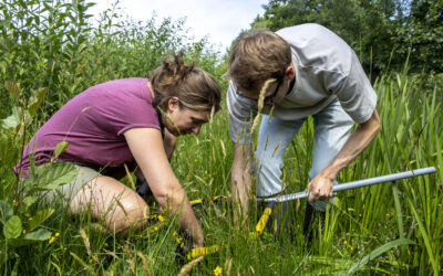 Boerennatuur Kennisdag  Natte Dooradering