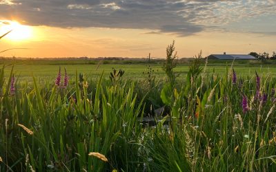 Uitnodiging Symposium en conventie Fieldlab Groene Hart 7 juni 2024