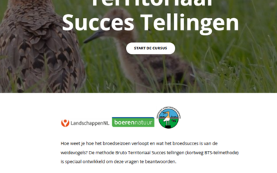 Online lesmodule gedrag weidevogels voor BTS-tellingen