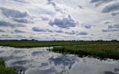 Fieldlab Groene Hart
